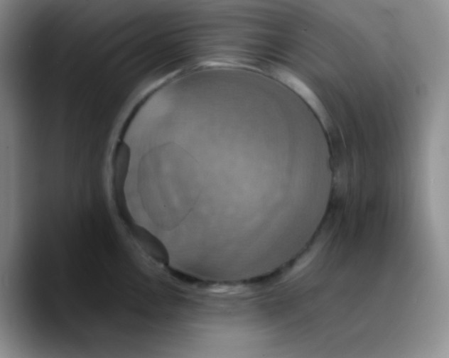 X0000089731146200707201836