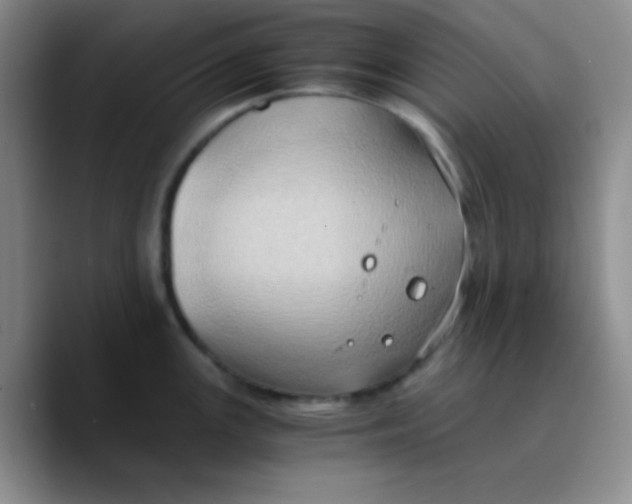 X0000089731147200707201836