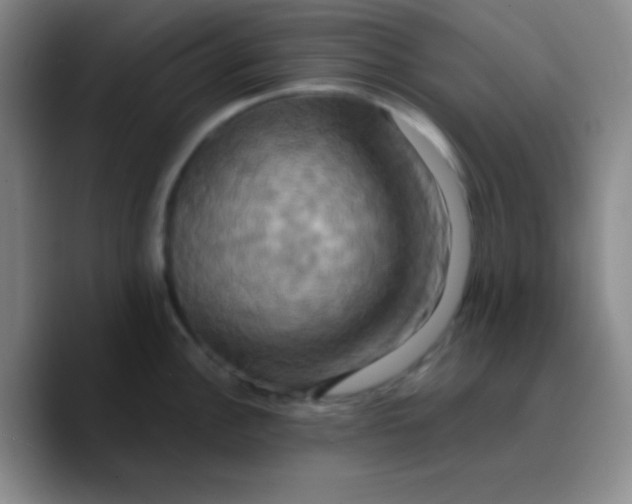 X0000089731148200707201836