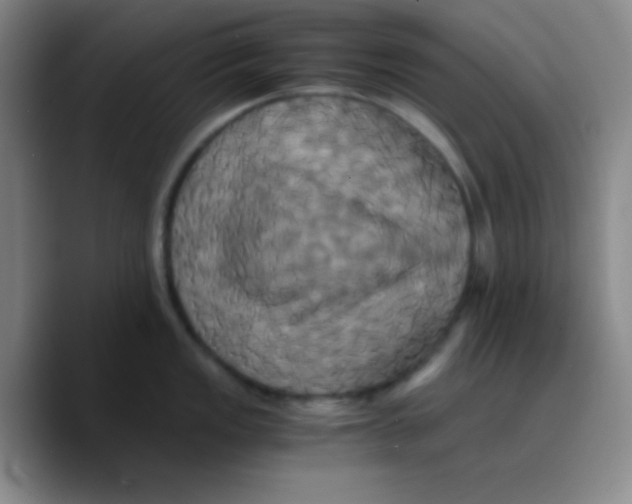 X0000089731149200707201836