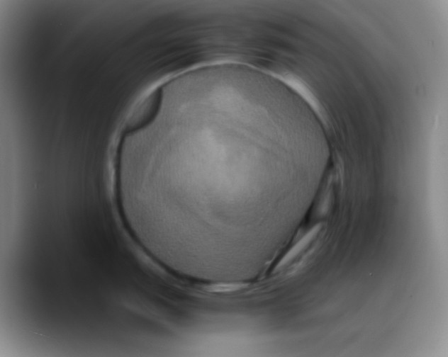X0000089731151200707201836