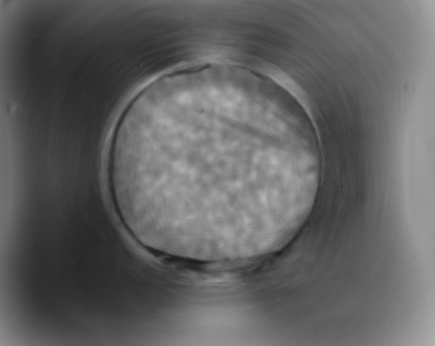 X0000089731152200707201836