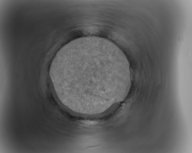 X0000089731153200707201835