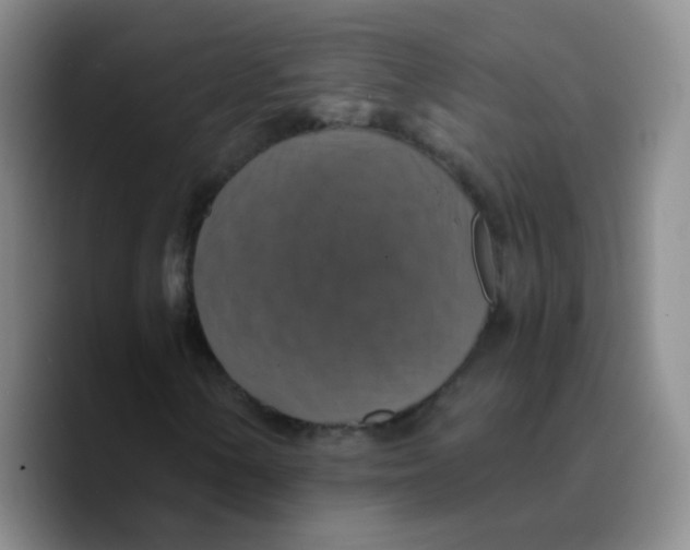 X0000089731154200707201835