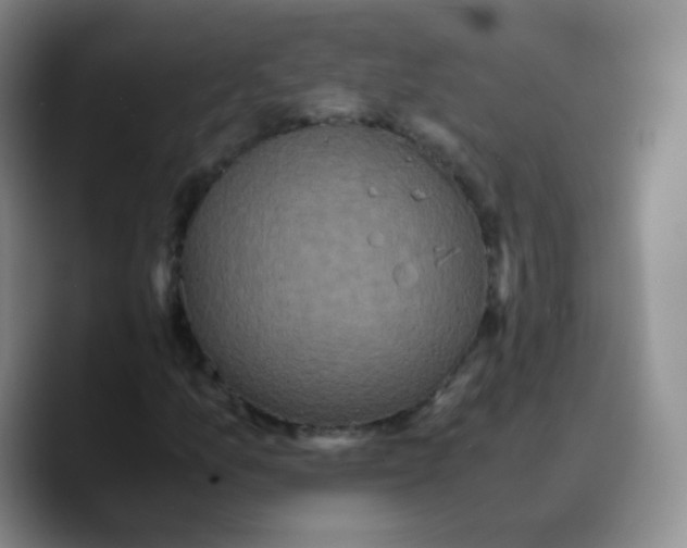 X0000089731157200707201835