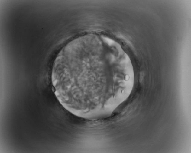 X0000089731159200707201835