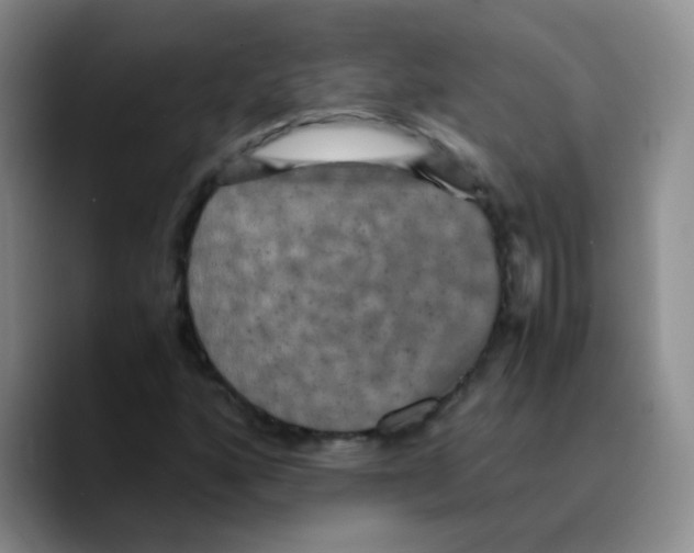 X0000089731160200707201835