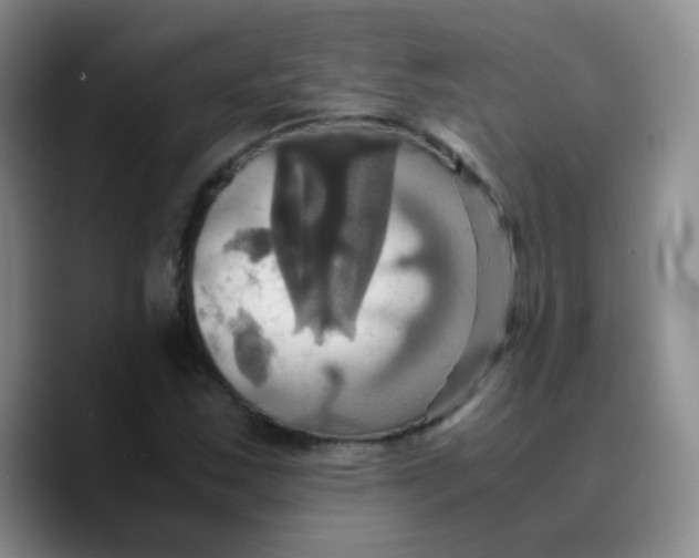 X0000089731163200707201835