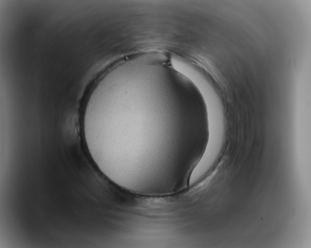 X0000089731164200707201835