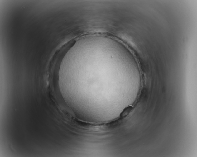X0000089731165200707201835