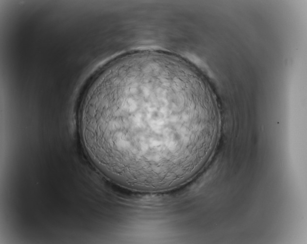 X0000089731167200707201835