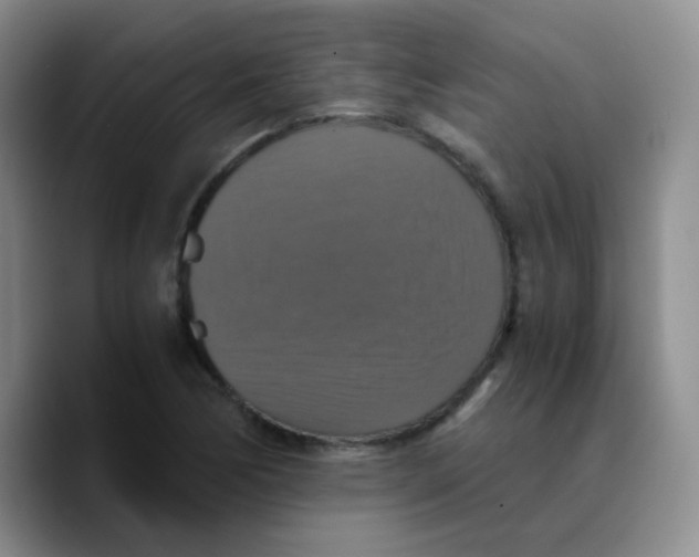 X0000089731170200707201835