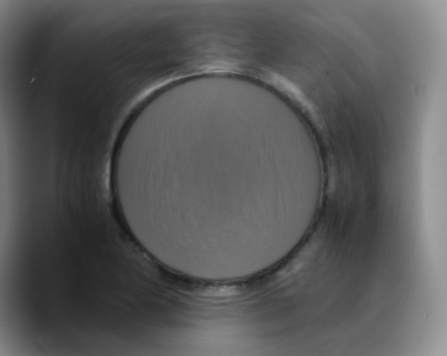 X0000089731174200707201835