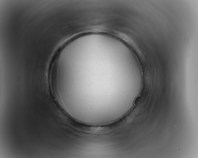 X0000089731176200707201835