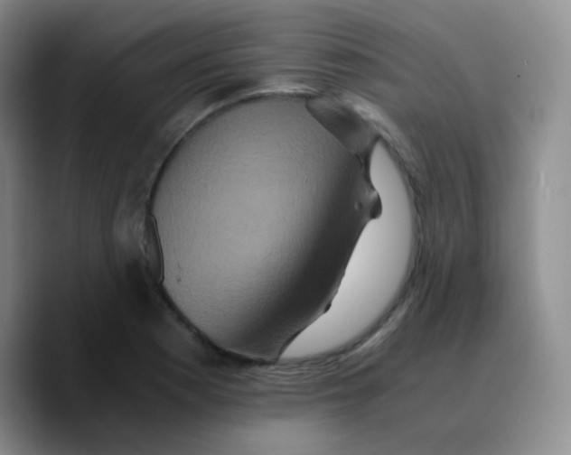 X0000089731177200707201835