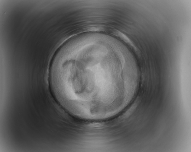 X0000089731178200707201835
