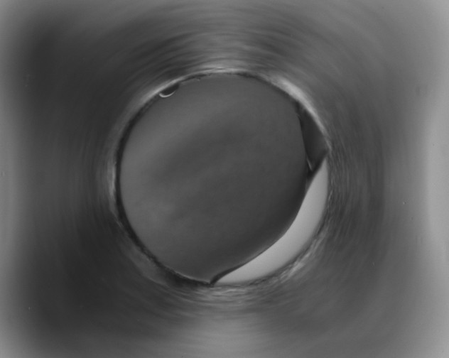 X0000089731179200707201835
