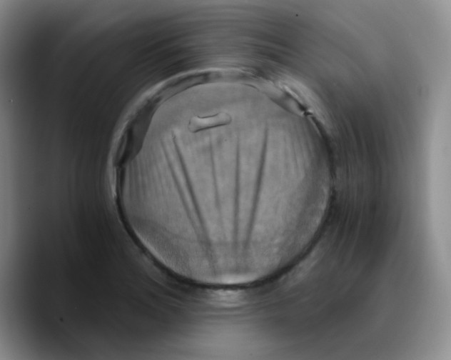 X0000089731180200707201835