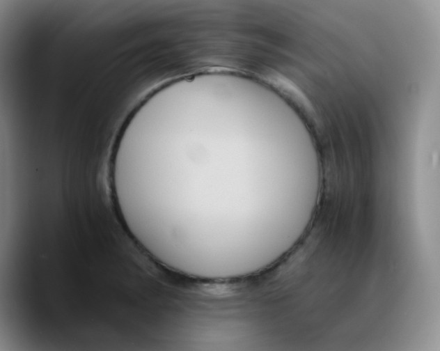 X0000089731182200707201835