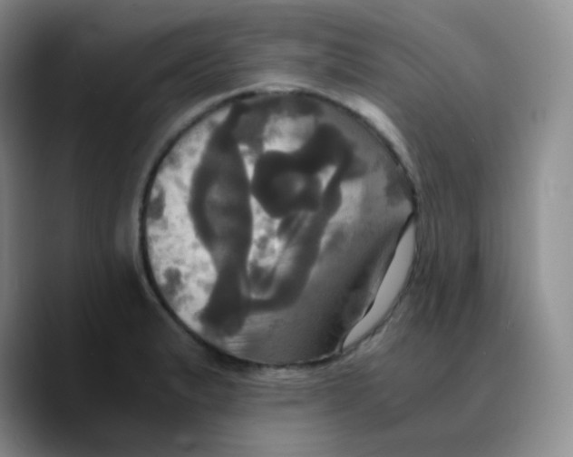 X0000089731183200707201835