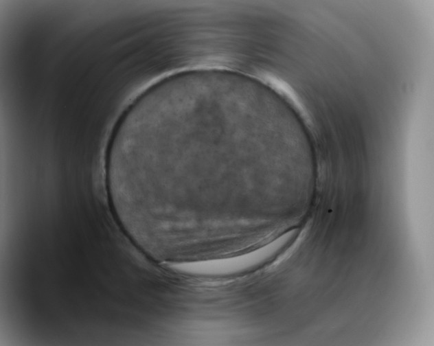 X0000089731184200707201835