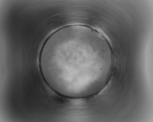 X0000089731189200707201835