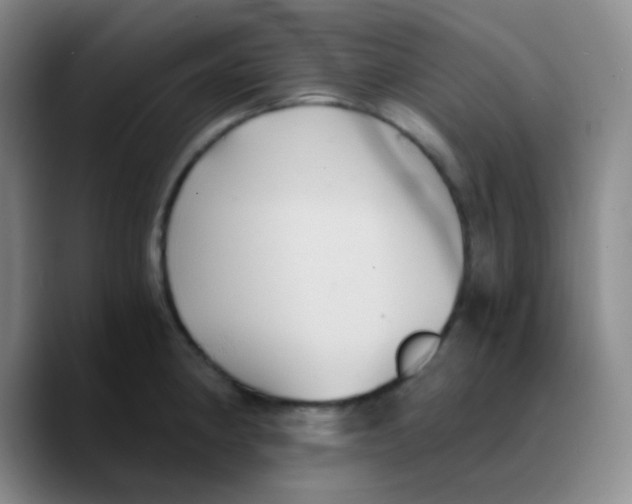 X0000089731190200707201835