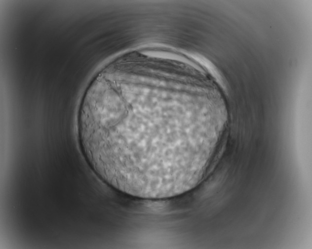 X0000089731191200707201835