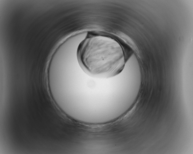 X0000089731192200707201835