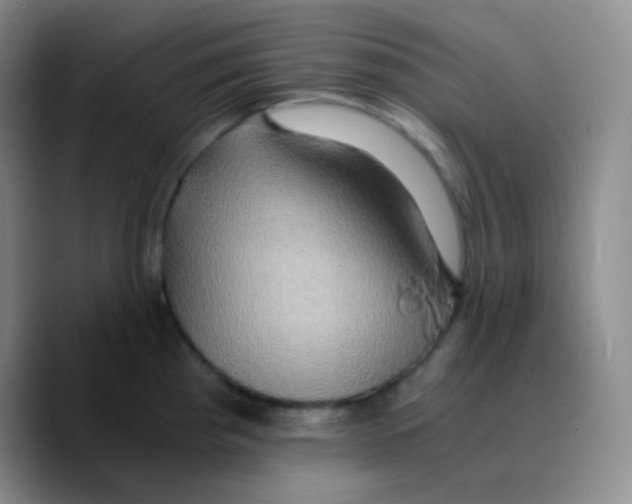 X0000089731193200707201835
