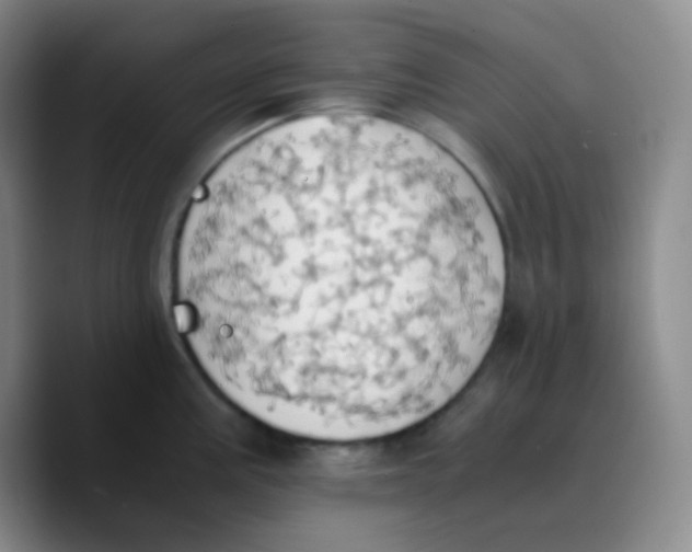 X0000089731195200707201835