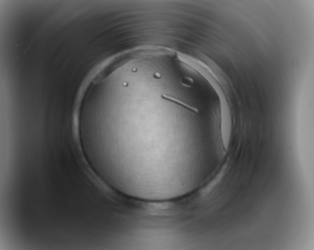 X0000089731196200707201835