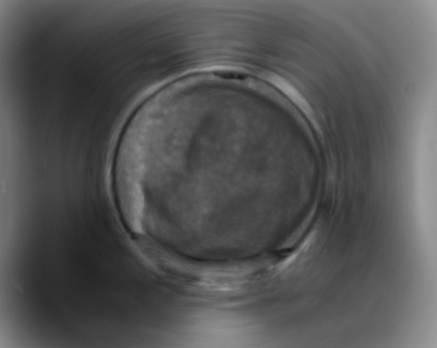 X0000089731197200707201835