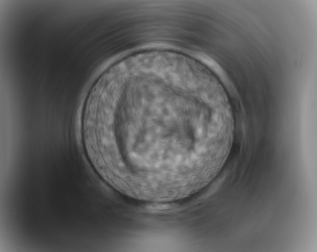 X0000089731199200707201835
