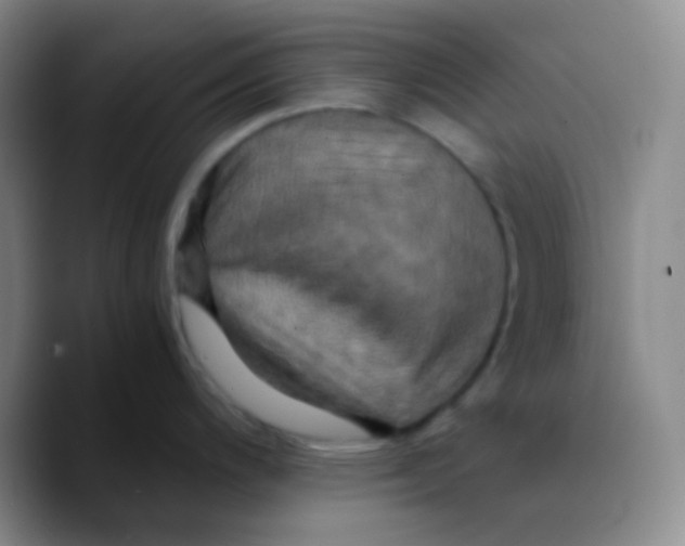 X0000089731200200707201835