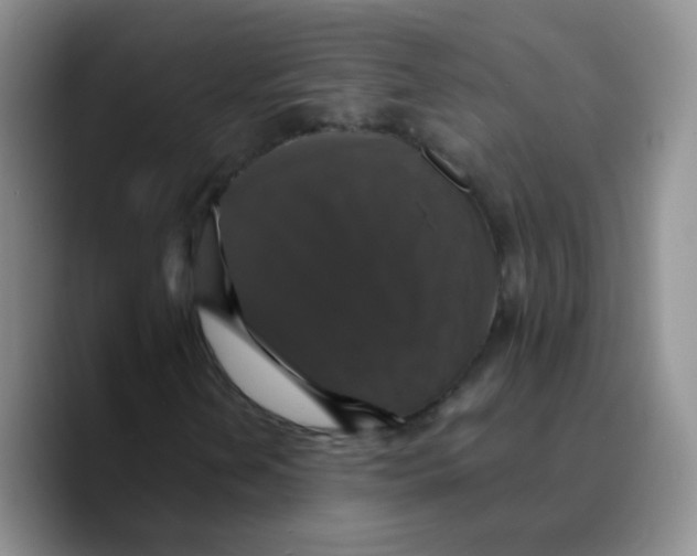 X0000089731202200707201834
