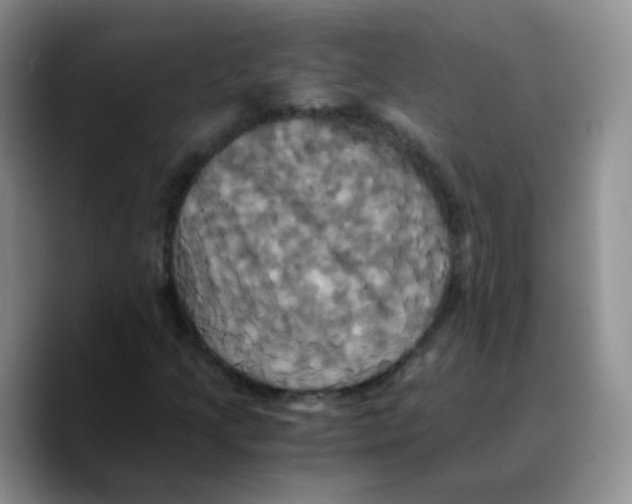 X0000089731205200707201834