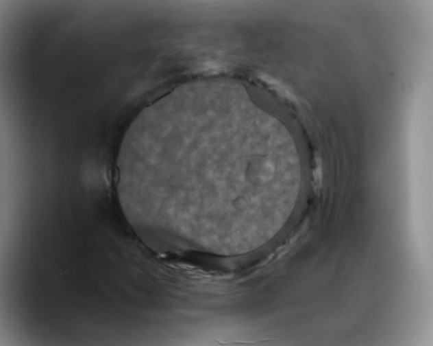 X0000089731206200707201834