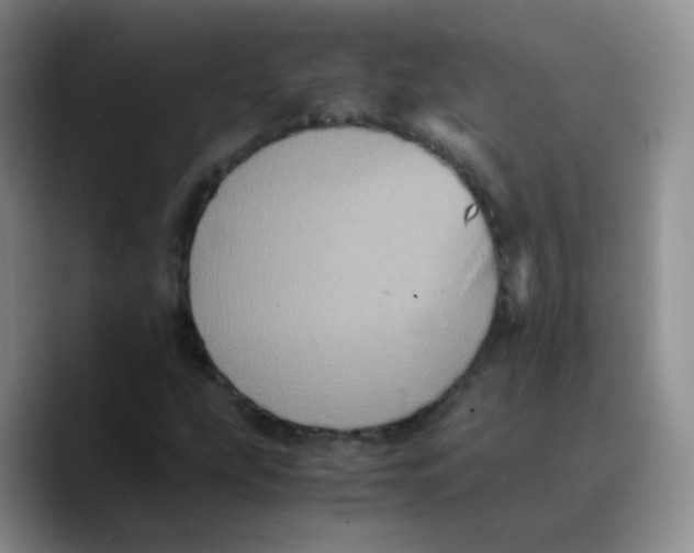 X0000089731207200707201834