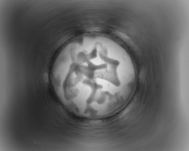 X0000089731209200707201834