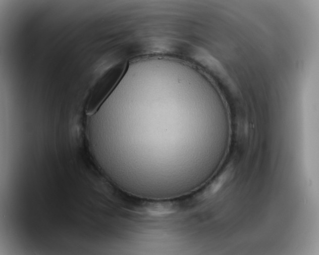 X0000089731210200707201834