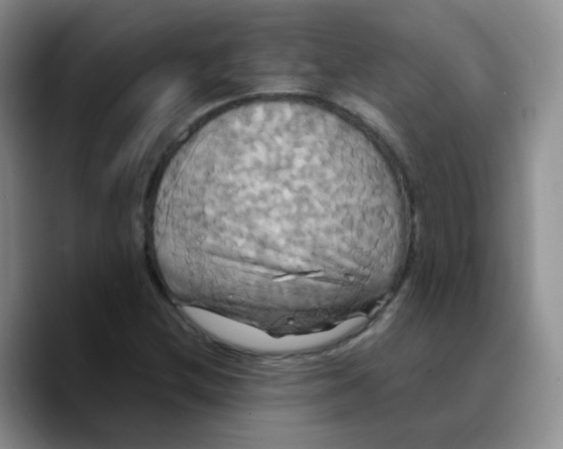 X0000089731212200707201834