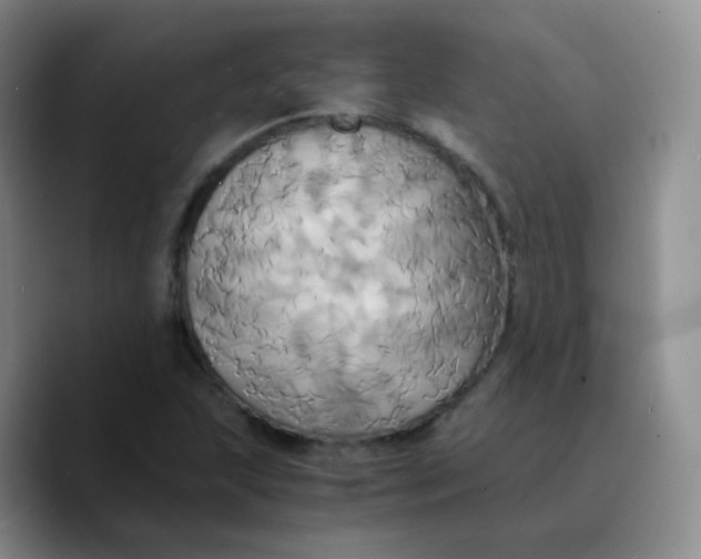 X0000089731215200707201834