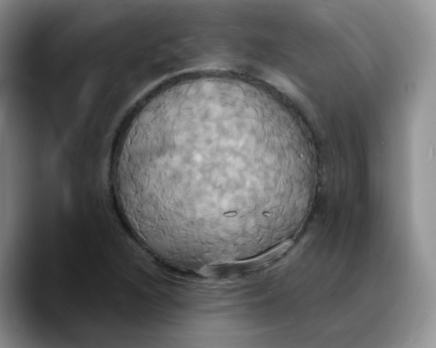 X0000089731216200707201834