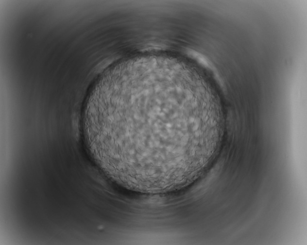 X0000089731217200707201834