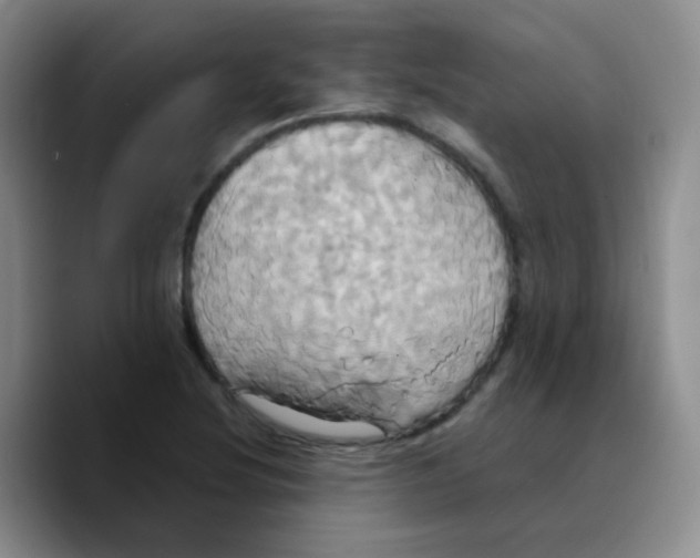 X0000089731220200707201834