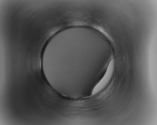 X0000089731221200707201834
