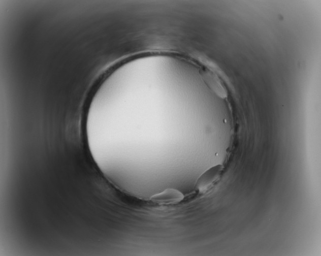 X0000089731222200707201834