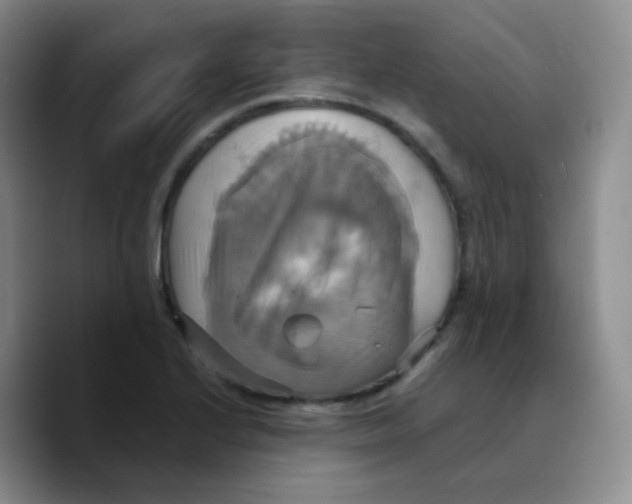X0000089731224200707201834