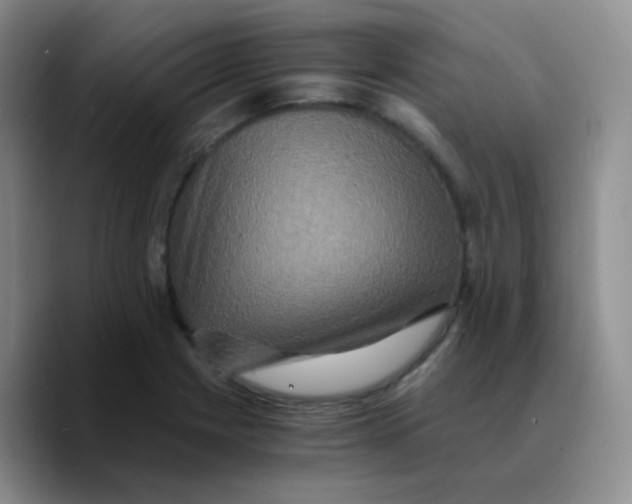X0000089731225200707201834